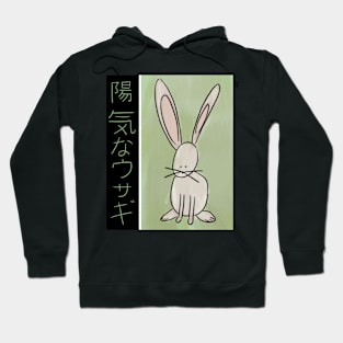 Cheerful rabbit Hoodie